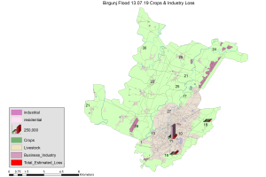 birgunj_cropsIndustry.png